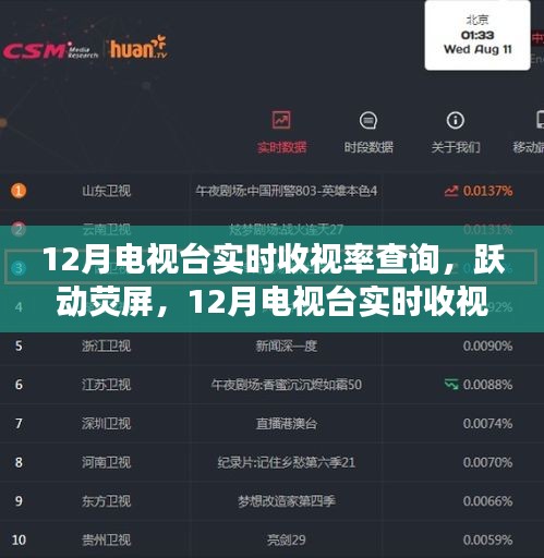 跃动荧屏背后的励志故事，揭秘十二月电视台实时收视率查询内幕