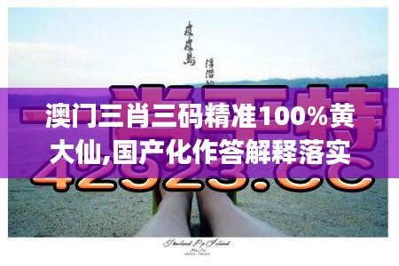 澳门三肖三码精准100%黄大仙,国产化作答解释落实_Holo9.609