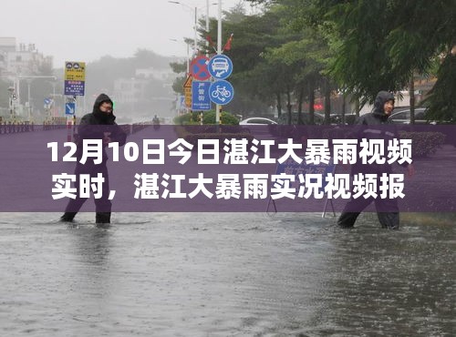 湛江大暴雨实况报道，雨势凶猛，城市应对挑战（视频实时更新）