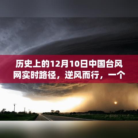 台风日的逆风温情，中国台风网实时路径记录与温馨故事