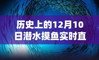林下风气 第2页