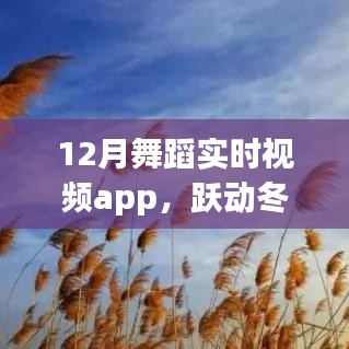 跃动冬日激情，舞蹈实时视频App共舞自信人生