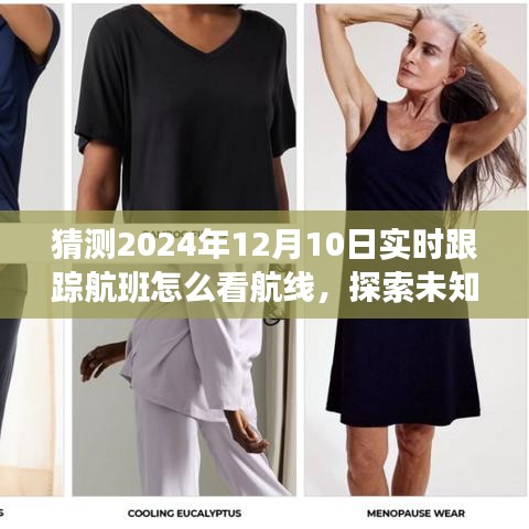 探索未知美景，揭秘轻松追踪航班航线指南（2024年实时跟踪航班指南）