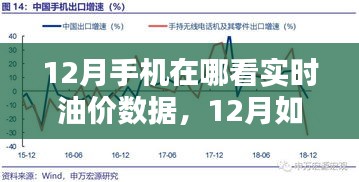 初学者与进阶用户指南，如何在手机查看实时油价数据（12月版）