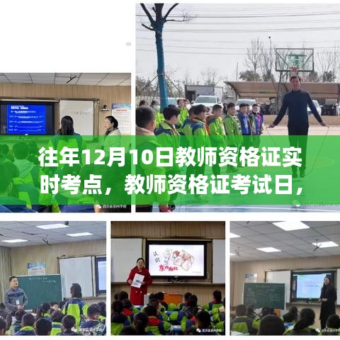 暖阳下的教师资格证考试日与学习之旅揭秘实时考点