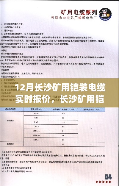 长沙矿用铠装电缆实时报价指南，从入门到精通，12月最新报价速递