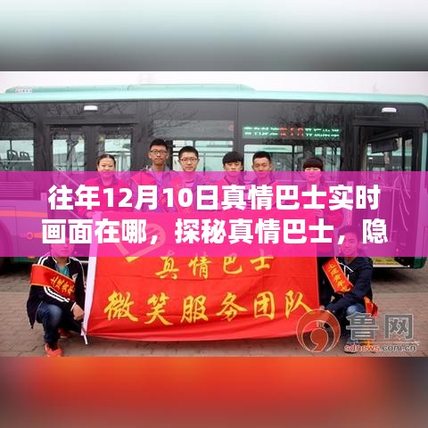 探秘真情巴士隐藏小巷，揭秘往年12月10日实时画面宝藏！