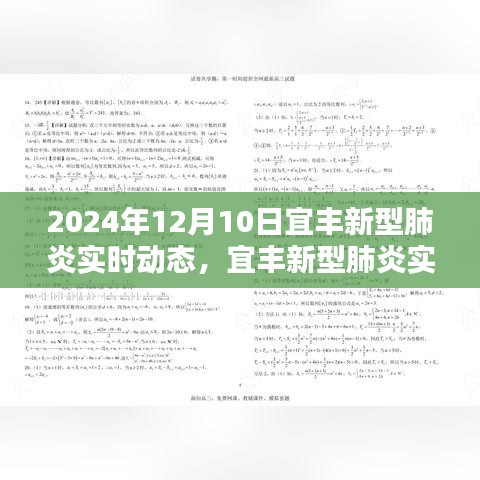2024年12月10日宜丰新型肺炎实时动态更新