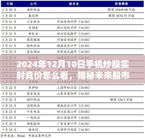 揭秘未来股市交易新纪元，2024年手机炒股实时竞价指南与体验展望