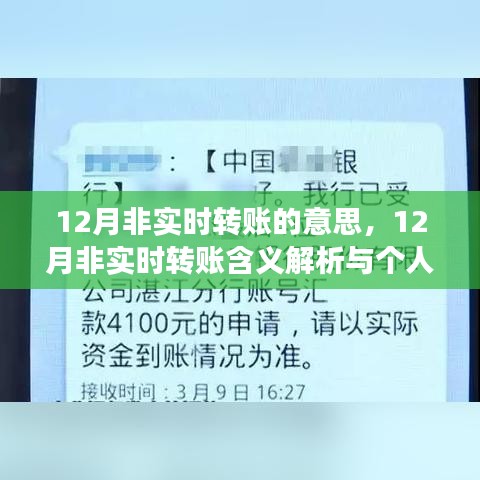 12月非实时转账解析，含义与个人立场探讨