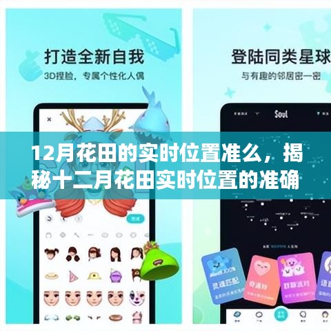 揭秘十二月花田实时位置定位技术的准确性与应用案例解析