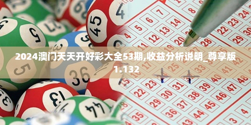 2024澳门天天开好彩大全53期,收益分析说明_尊享版1.132