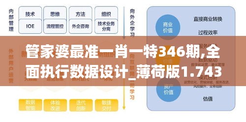 管家婆最准一肖一特346期,全面执行数据设计_薄荷版1.743