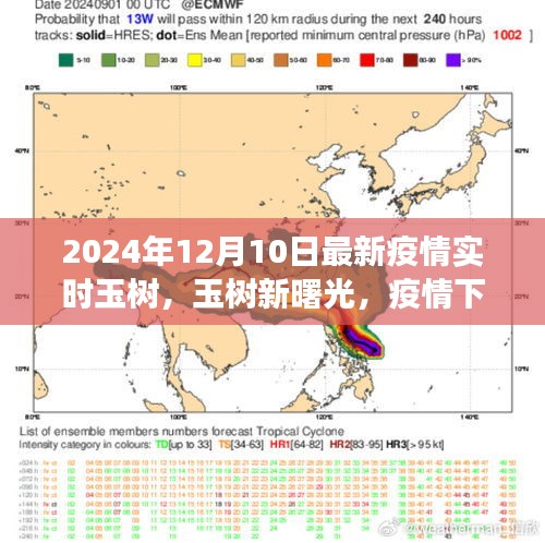 玉树新曙光，疫情下的励志成长与力量展现，实时疫情更新（2024年12月10日）