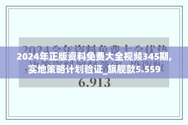 2024年正版资料免费大全视频345期,实地策略计划验证_旗舰款5.559