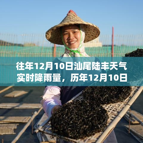 揭秘汕尾陆丰历年与实时天气，深度解析降雨背后的故事，实时数据大揭秘