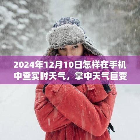 2024年手机实时天气预测新纪元，轻松掌握天气巨变