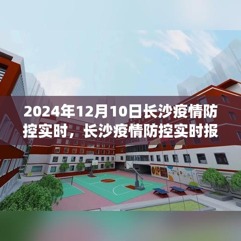 2024年12月10日长沙疫情防控实时进展与动态报告