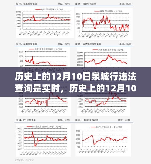 泉城行违法查询实时性演变与进展，历史视角下的12月10日实时查询系统解析