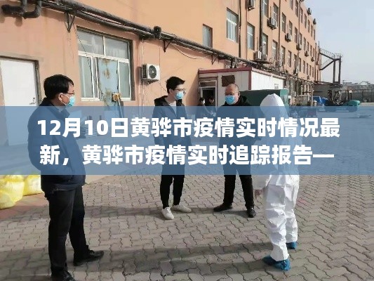 黄骅市疫情最新进展报告，实时追踪与关键要点解析（12月10日）