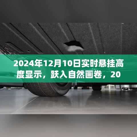 悬挂高度之旅启程，跃入自然画卷的奇幻体验