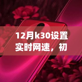 12月K30手机设置实时网速的详细步骤指南,适合初学者与进阶用户