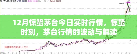 惊蛰时刻揭秘茅台行情波动，最新实时行情解读