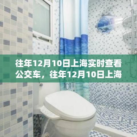 上海实时查看公交车，便捷与隐私的挑战并存