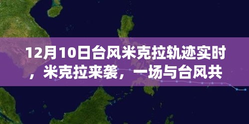 台风米克拉来袭，与风暴共舞的日常趣事（实时轨迹更新）