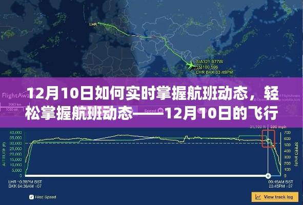 12月10日航班实时追踪指南,轻松掌握飞行信息,掌握航班动态不费力