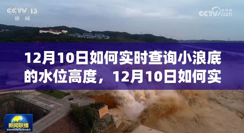 深入解析与观点阐述，如何实时查询小浪底水位高度在12月10日的详细指南