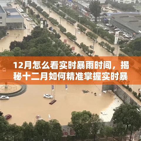 揭秘十二月实时暴雨时间掌握技巧，如何精准查看天气预报？