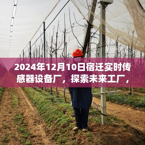 宿迁实时传感器设备厂未来展望，探索未来工厂发展蓝图（2024年视角）