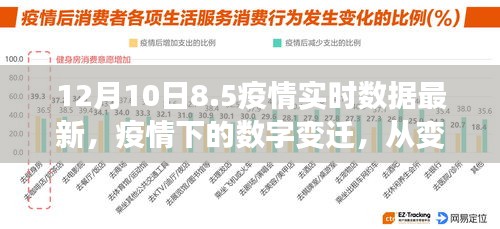 疫情下的数字变迁，最新实时数据揭示，点亮希望之光