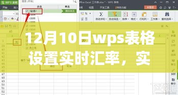 WPS表格实时汇率功能应用与更新体验分享，12月10日解读