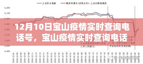 宝山疫情实时查询电话指南,从初学者到进阶用户的全面指南(12月10日查询电话号码)