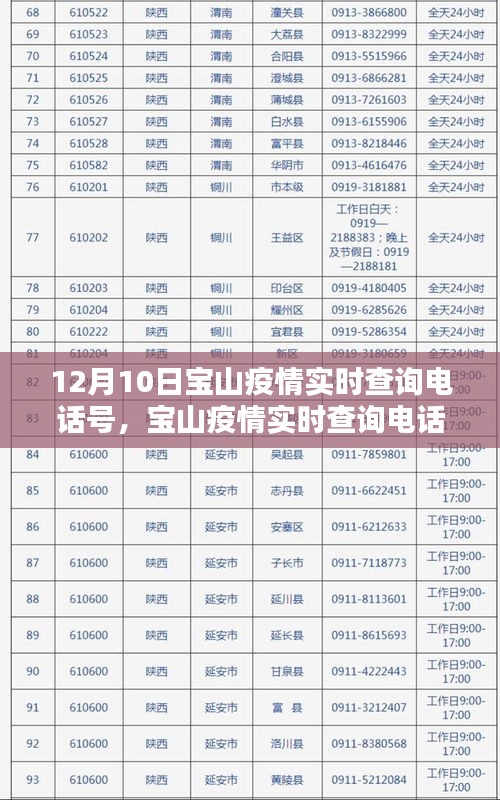 宝山疫情实时查询电话指南，从初学者到进阶用户的全面指南（12月10日查询电话号码）