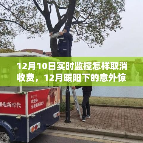 暖阳下的意外惊喜，取消监控收费的小故事与实时监控费用解析