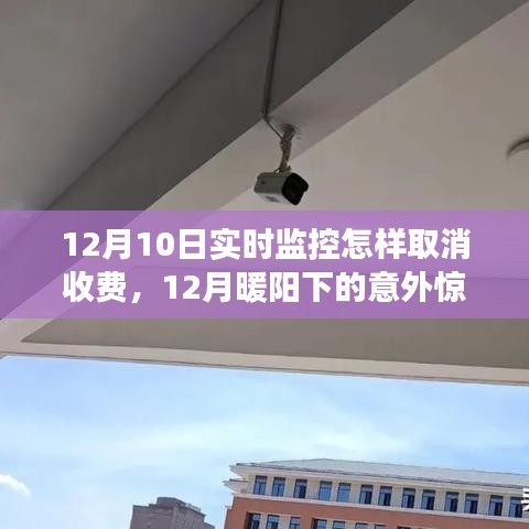暖阳下的意外惊喜,取消监控收费的小故事与实时监控费用解析