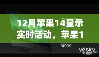 苹果14暖心日常，12月实时活动展示与故事揭秘