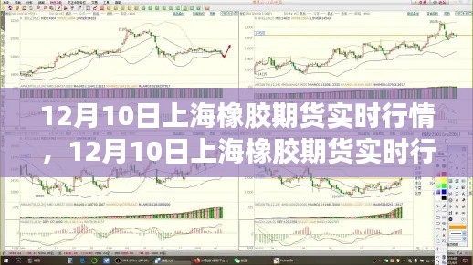 12月10日上海橡胶期货实时行情深度解析，市场走势、影响因素与案例分析