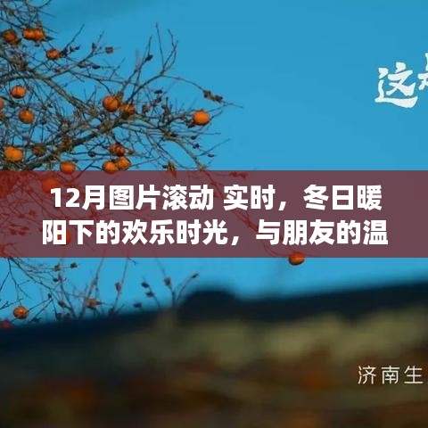 冬日暖阳下的欢乐时光，与朋友共度的温馨图片之旅（实时滚动）