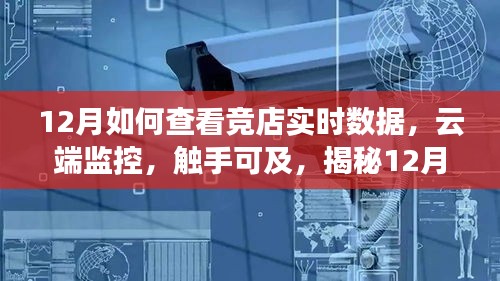 揭秘云端监控，12月最新竞店实时数据查看系统的革命性体验与触手可及功能