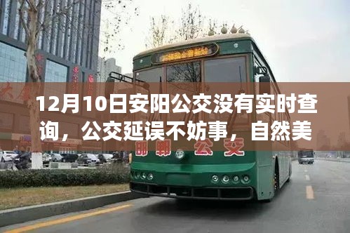 远离尘嚣的心灵之旅，自然美景呼唤，公交延误不妨事，安阳公交美景一览