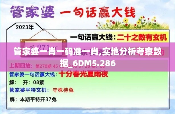 管家婆一肖一码准一肖,实地分析考察数据_6DM5.286