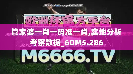管家婆一肖一码准一肖,实地分析考察数据_6DM5.286