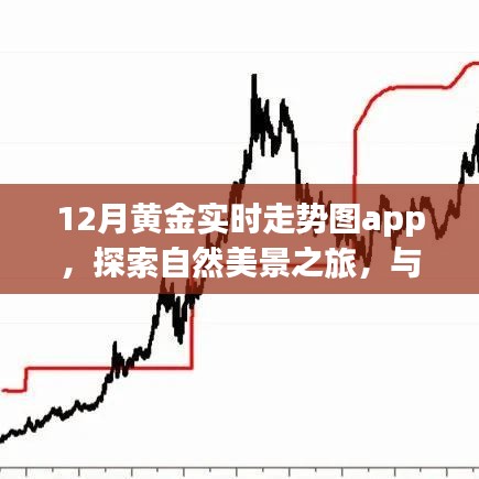 黄金走势与自然美景的双重探索，奇迹之旅APP引领宁静平和之旅
