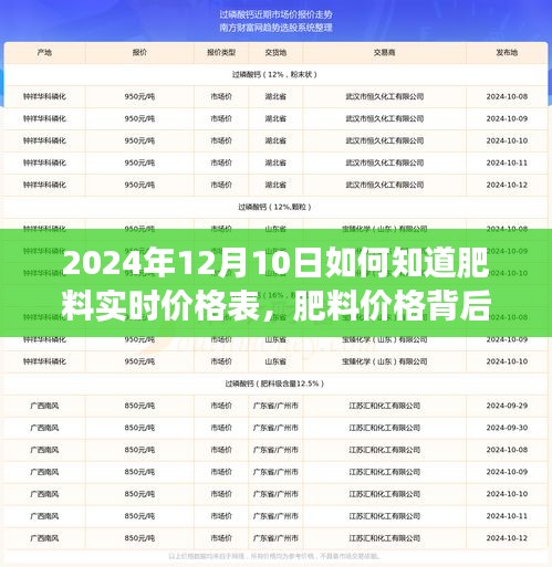 揭秘肥料价格背后的故事，实时价格查询与日常探秘之旅（2024年12月）