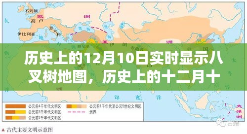 历史上的十二月十日，八叉树地图实时显示及其深远影响