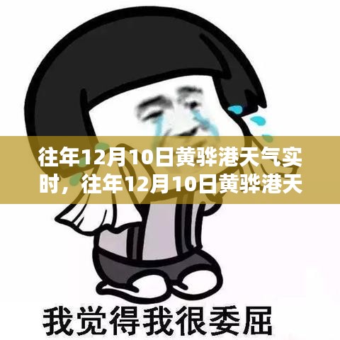 往年12月10日黄骅港天气深度测评与实时介绍